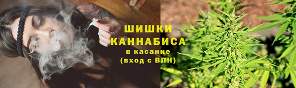 a pvp Белокуриха