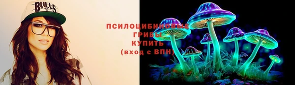 a pvp Белокуриха