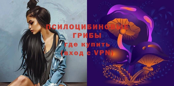 a pvp Белокуриха