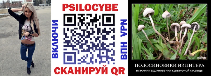 Галлюциногенные грибы GOLDEN TEACHER  Реж 